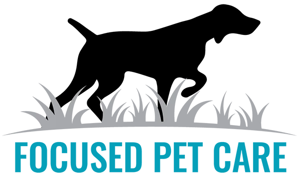 Focused Pet Care