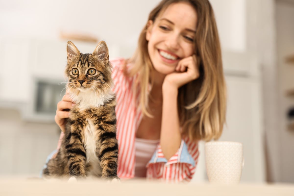 Happy owner with pet cat - Bleeding Gums in Cats