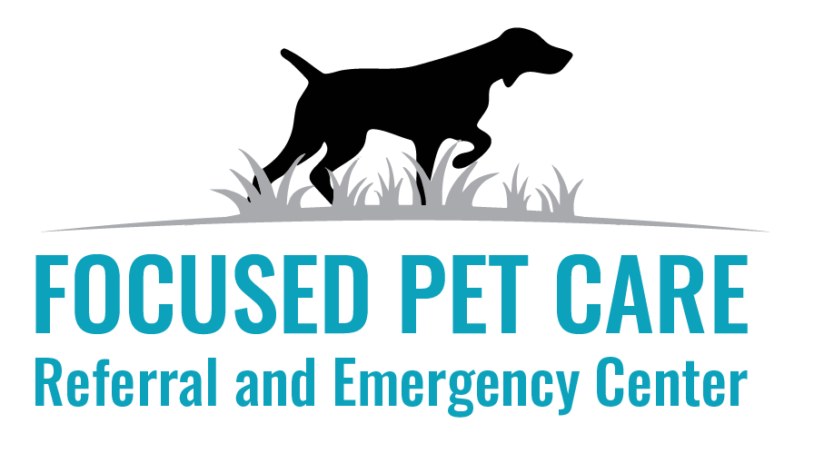 Focused Pet Care Referral and Emergency Center Hospital
